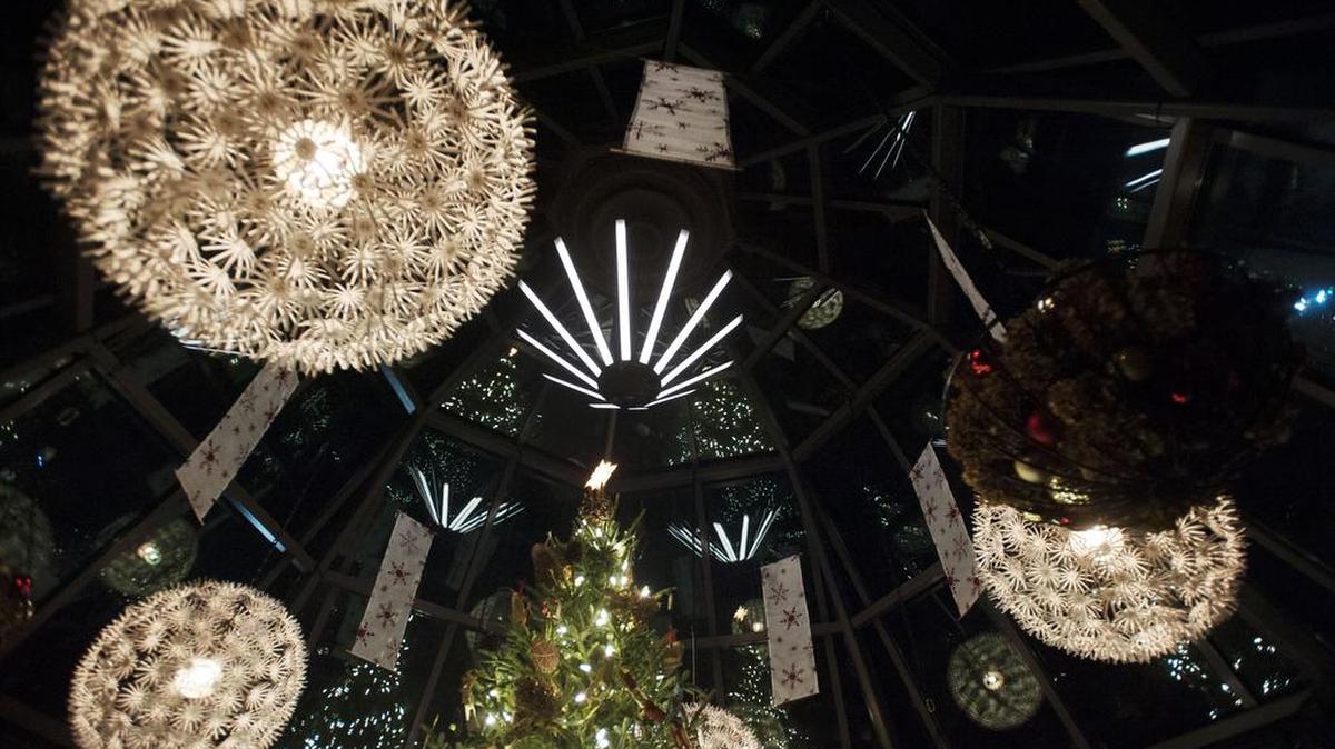 Festive lights hang from the ceiling in 2016 during The Arboretum at Penn State’s Winter Celebration.