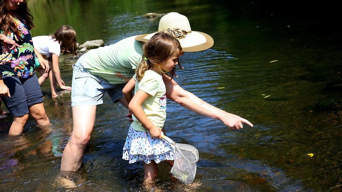 Lara Fowler, of State College, points out floating leaves to her daughter, Elizabeth, during Crickfest in 2015.