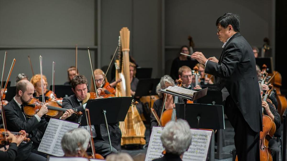 The Nittany Valley Symphony will perform its annual family concert on Sunday.