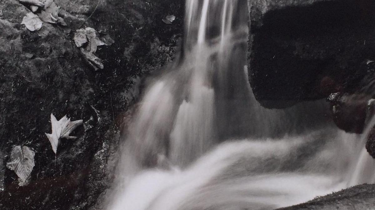 Artist Stacie Bird’s black and white photo, taken in Shingletown, will be among pieces displayed at the Photography Show.