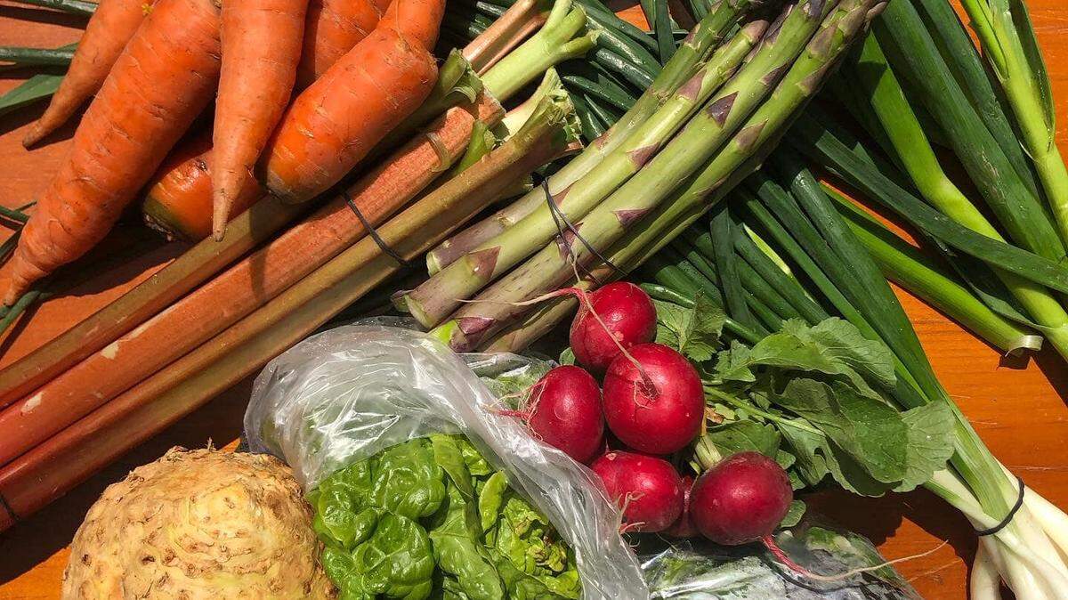 GroundWork Farms works as a connector for multiple producers with its CSA.