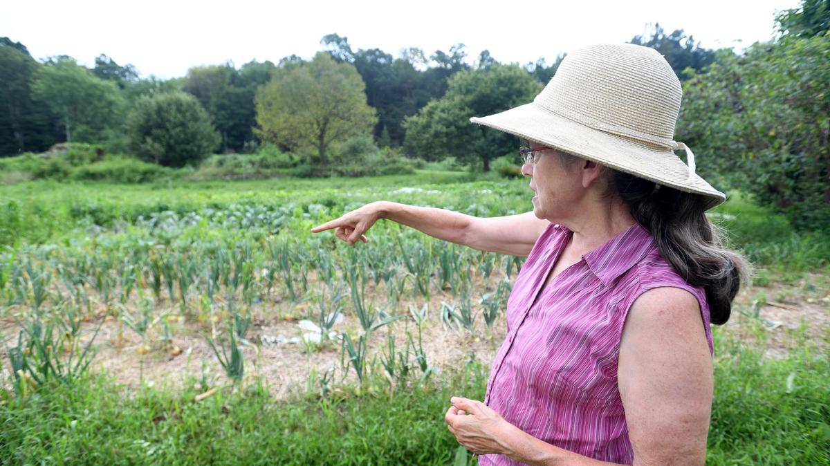 Janet Schaufler talks on Aug. 7 about the produce she’s growing at Schaufler’s Wild Blumen Farm in Gatesburg. What started as an attempt to grow their own vegetables has turned into a business venture for the family.