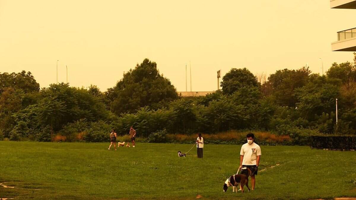 People walk their dogs in a park in downtown Toronto, as smoke from forest fires in Northern Ontario causes poor air quality over the city, in Toronto, Ontario, Canada, on July 15, 2026. (Photo by Cole BURSTON / AFP via Getty Images)