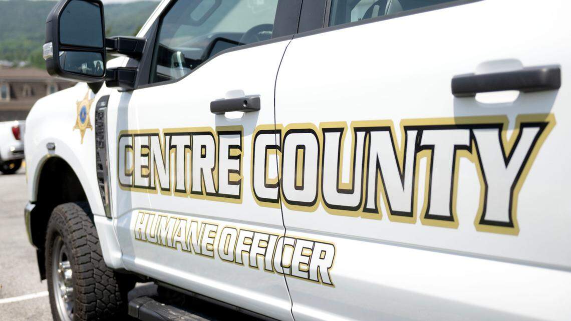 Centre County woman charged with animal cruelty after 5 dogs abandoned in remote area