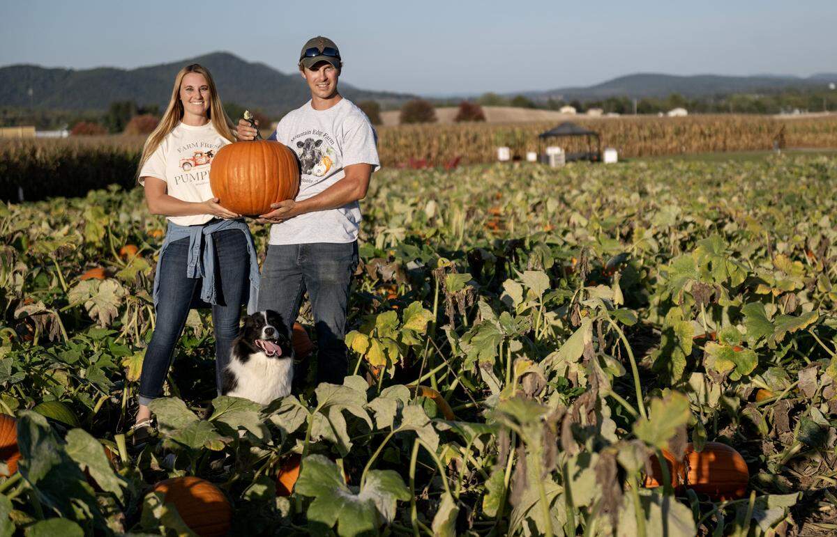 Ashley and Ryan Dunkleberger and their dog Flynn in the pumpkin patch at Mountain Edge Farm on Monday, Oct. 6, 2025.