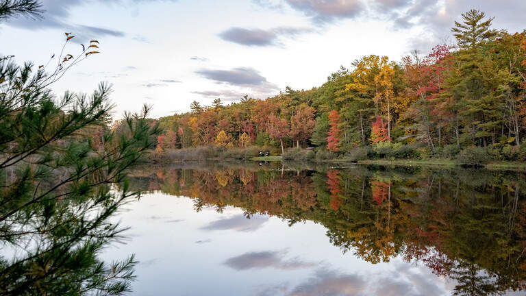 Centre County’s fall colors are peaking. Here’s where to get the best views