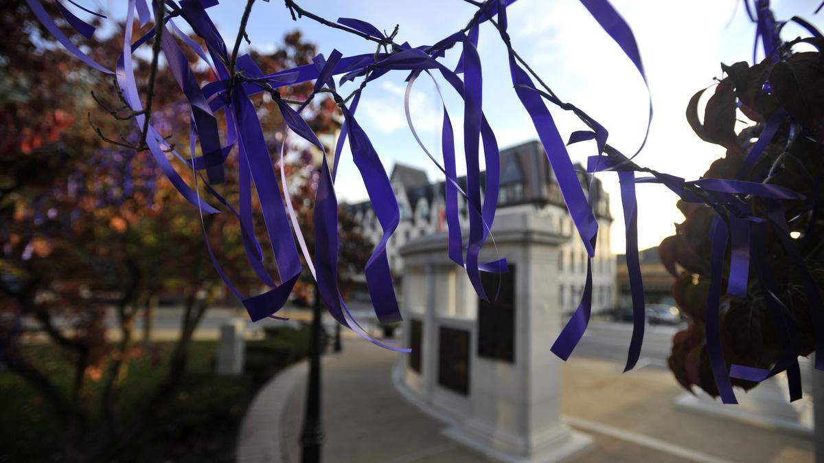 Hundreds of purple ribbons are tied to the trees in front of the Centre County Courthouse in Bellefonte in October 2015, in observance of Domestic Violence Awareness Month.