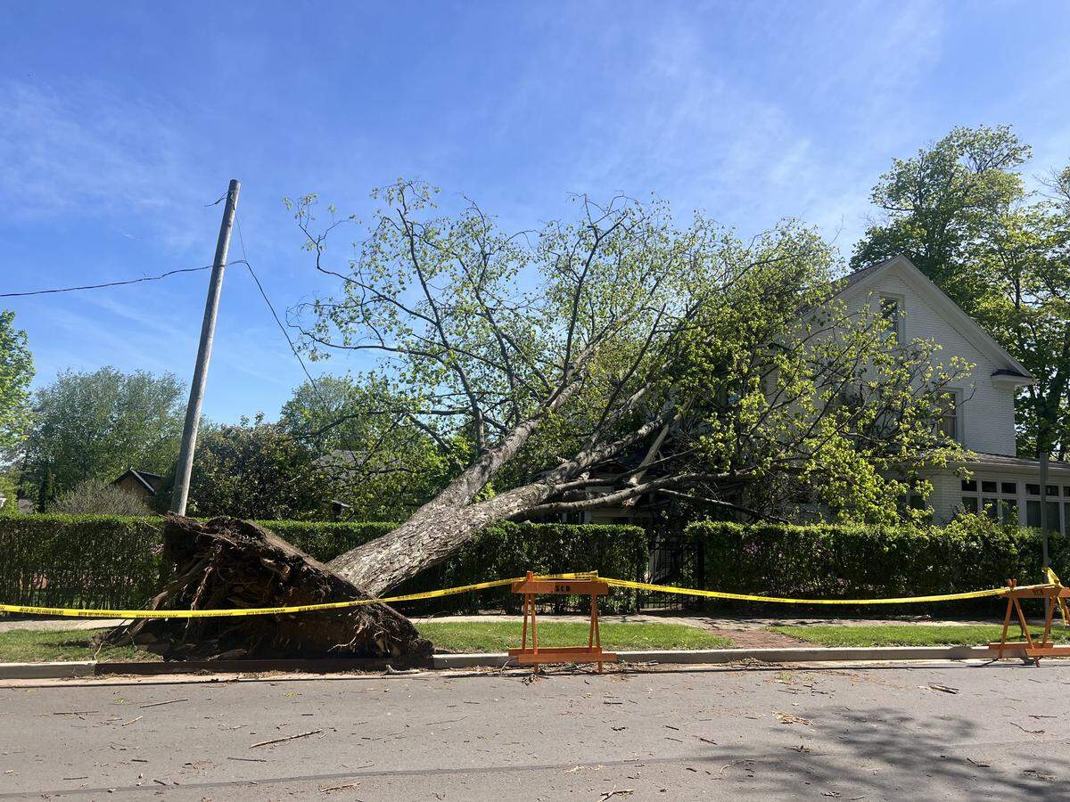 A tree was uprooted after Tuesday’s storm on the corner of West Foster Avenue and South Patteron Street in State College.