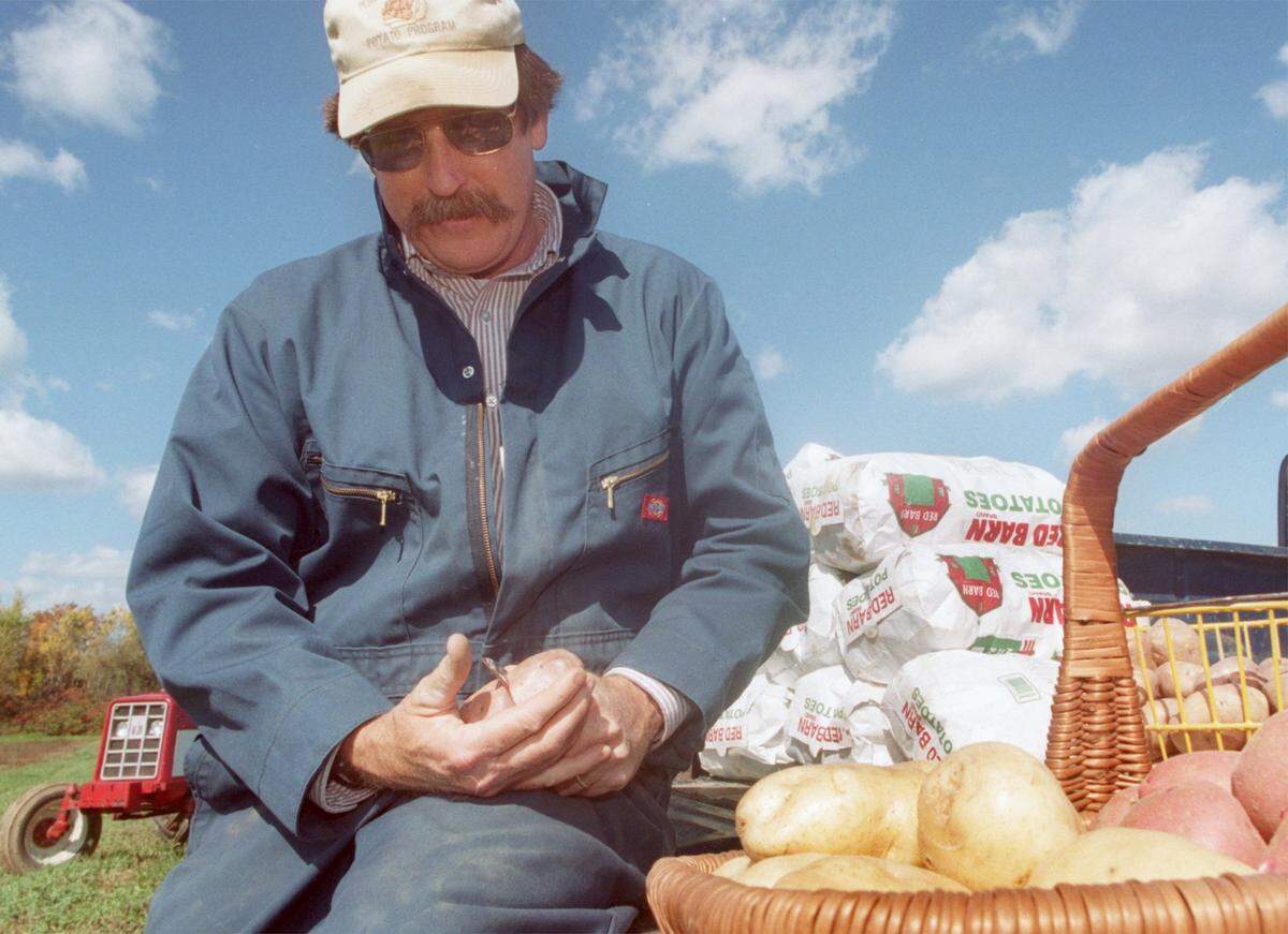 Bill Lamont is pictured in this 1999 file photo when he was a Penn State associate professor of vegetable crops, dissecting a potato at the Penn State horticulture farm in Rock Springs..
