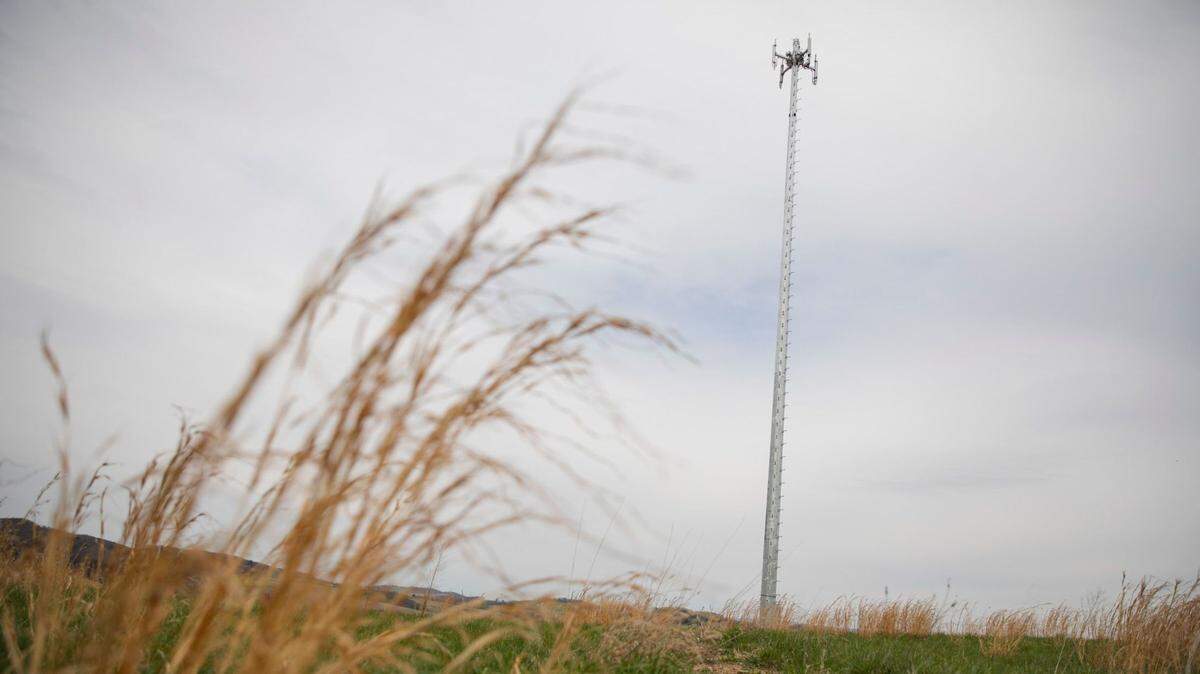 Cellular tower in rural Pennsylvania.