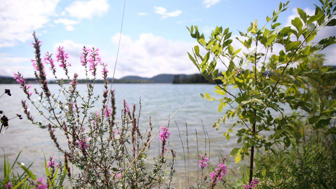 What does moving into the ‘yellow phase’ mean for Pennsylvania’s state parks and forests?