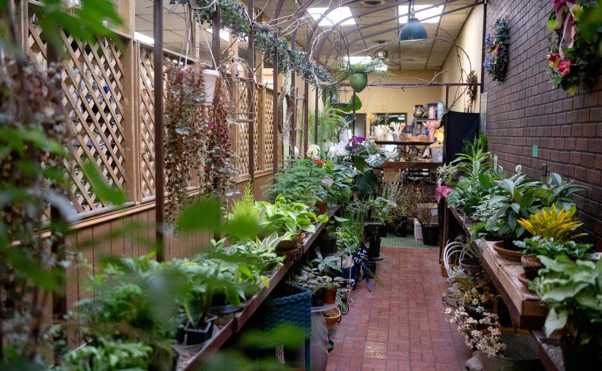 Woodring’s Floral Gardens on Tuesday, Feb. 21, 2023.