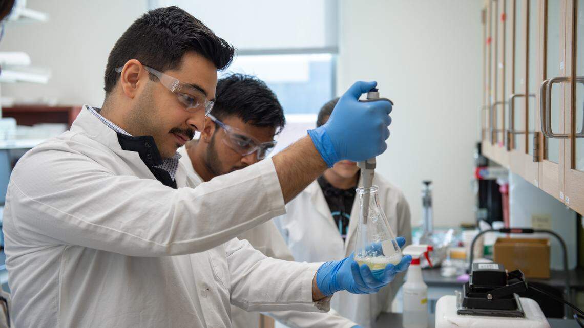 Penn State researchers explore solutions to national organ transplant shortage