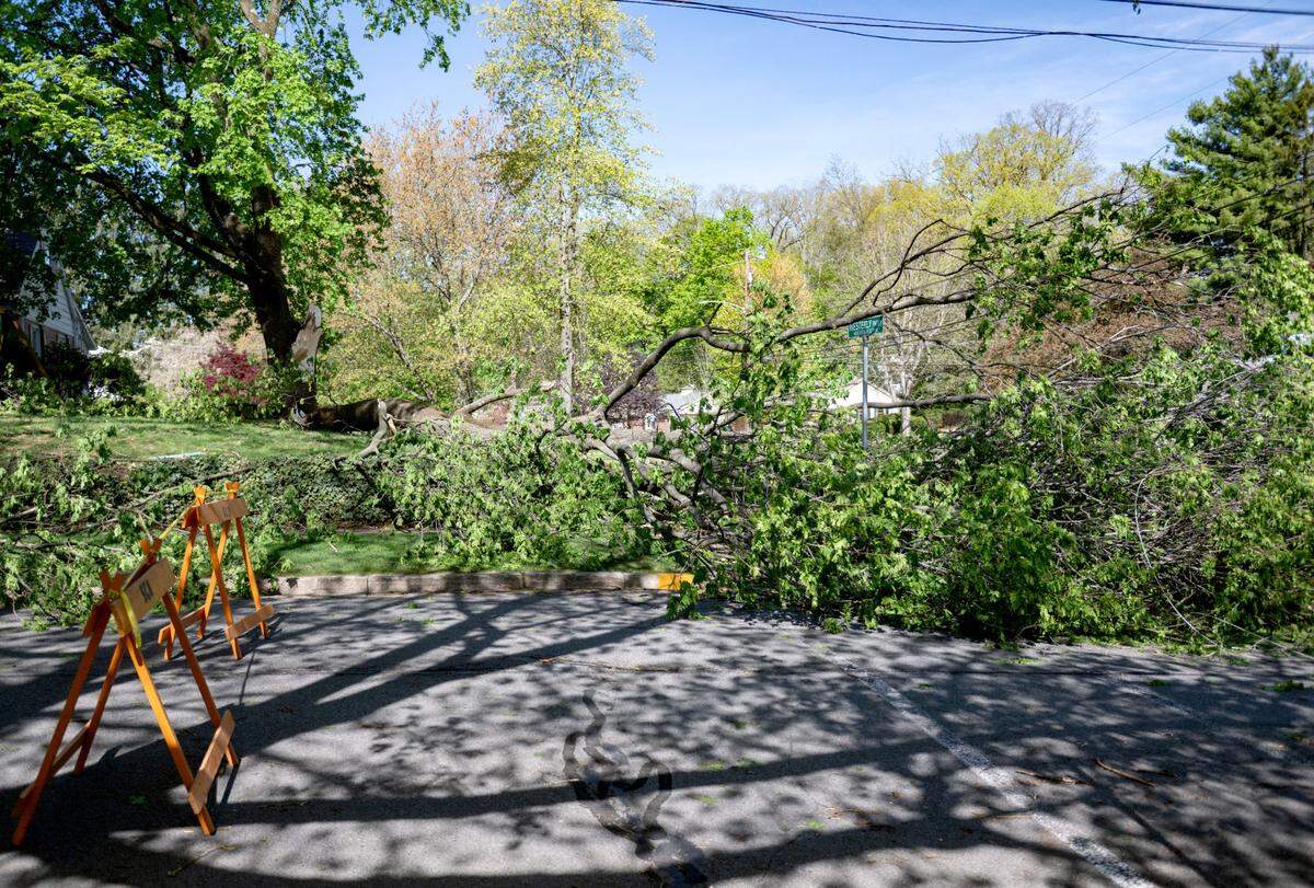 A block of Westerly Parkway was closed due to a tree down on Wednesday after a severe storm on Tuesday night.