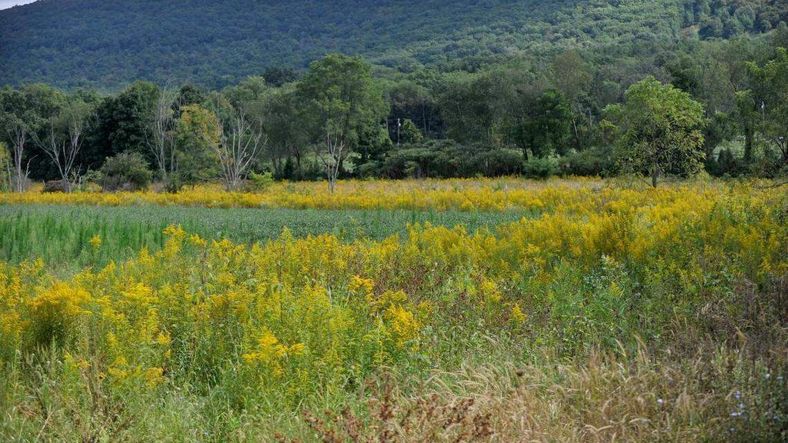 Outdoor/Conservation Groups