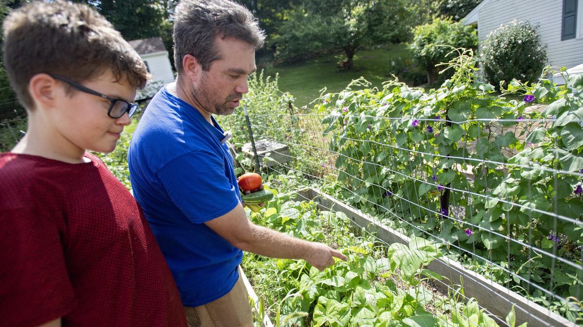 Adam Clampet, the founding farmer of Crops for Christ, and his son Shawn, 13, harvest some vegetables in their Bellefonte garden on Monday, Sept. 3, 2018.