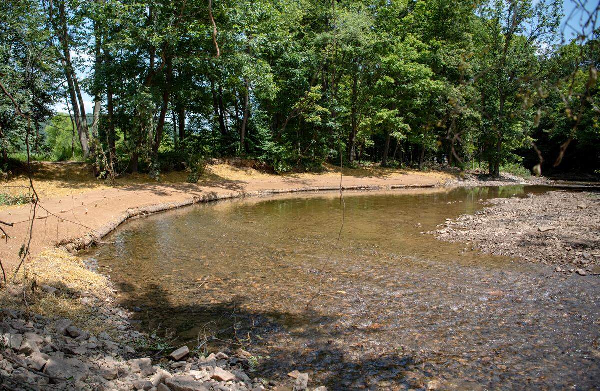 The new mud sill structure along the Bald Eagle Creek on Thursday, July 25, 2019. This section of creek restoration will help the Wildlife for Everyone’s goal of making an ADA-accessible fishing pier.