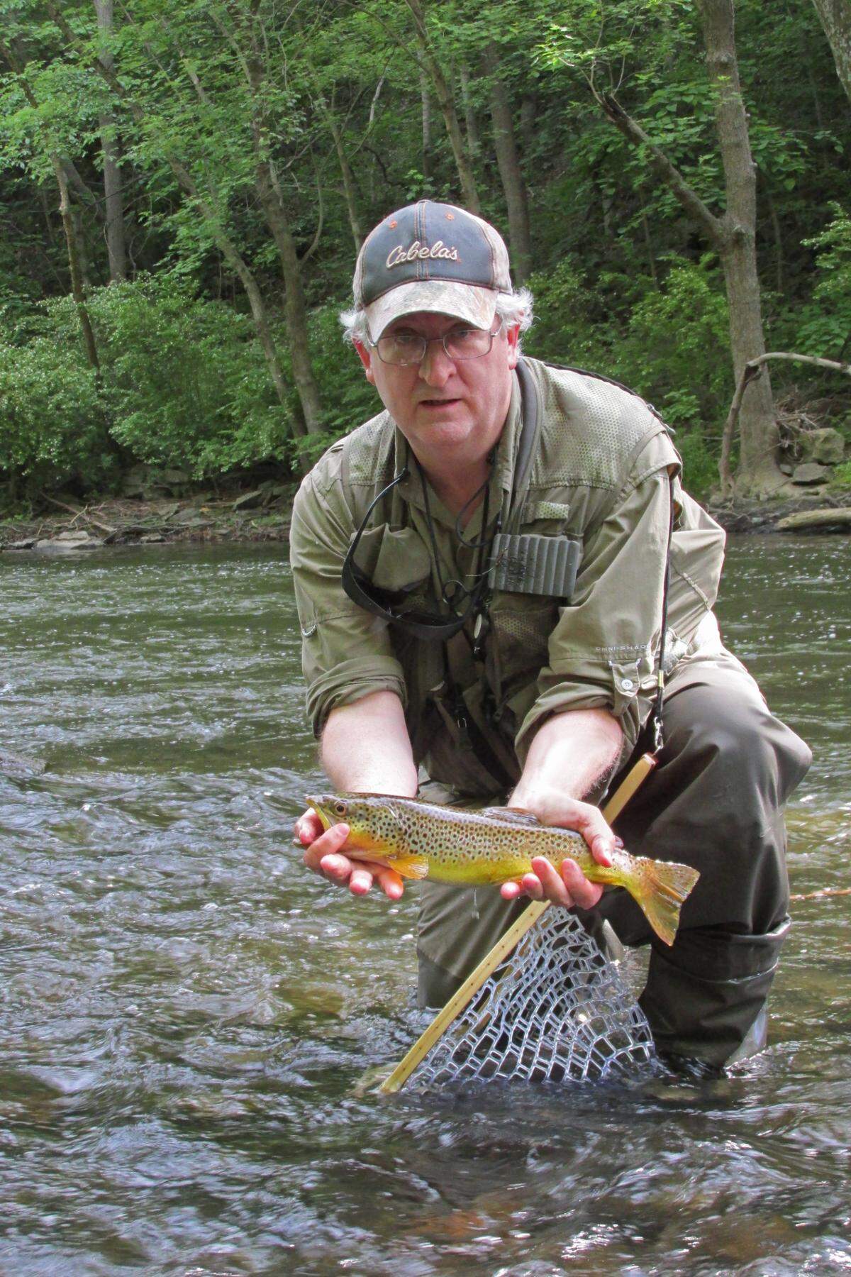 Under new regulations, brown trout caught in Bald Eagle Creek below Milesburg must release them unharmed.