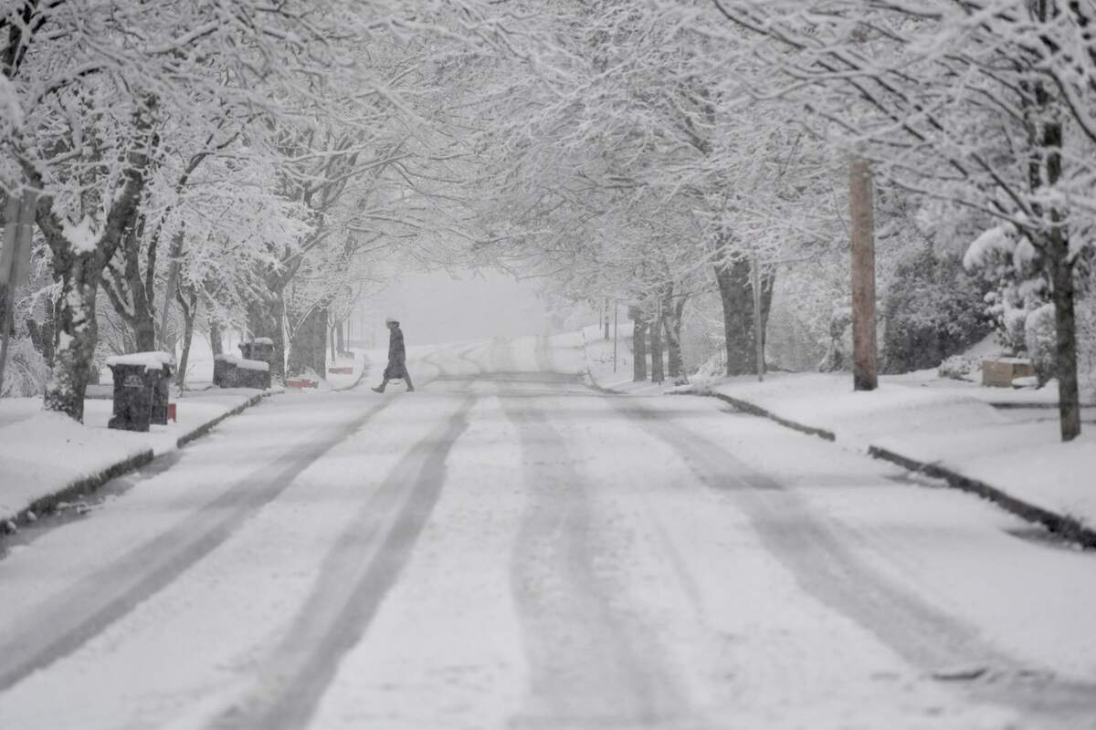 A pedestrian crosses Prospect Avenue as the snow falls on Wednesday, March 9, 2022.