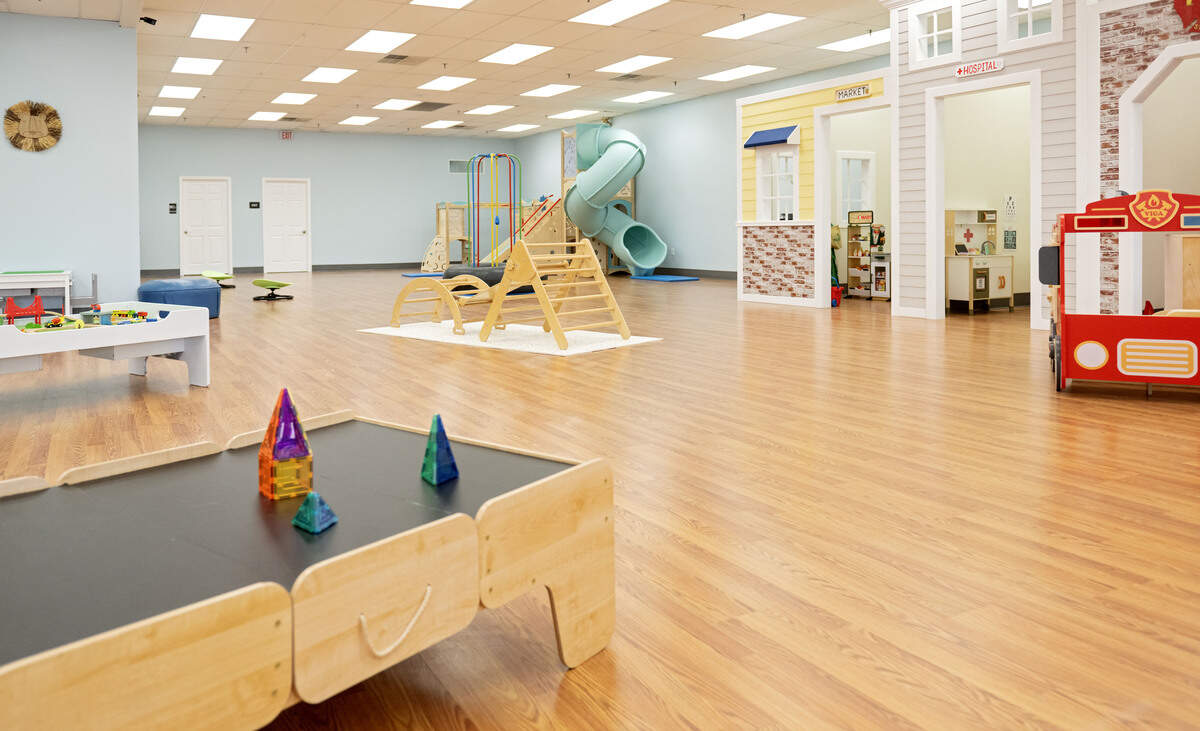 Inside the play area at Little Lions Play Den.