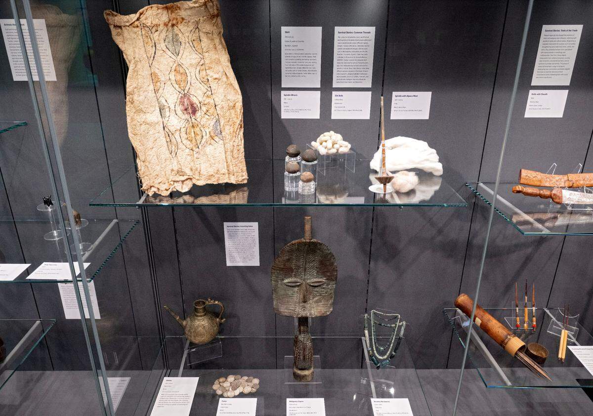 A display in the Matson Museum of Anthropology in the Susan Welch Liberal Arts Building on Thursday, May 1, 2025.
