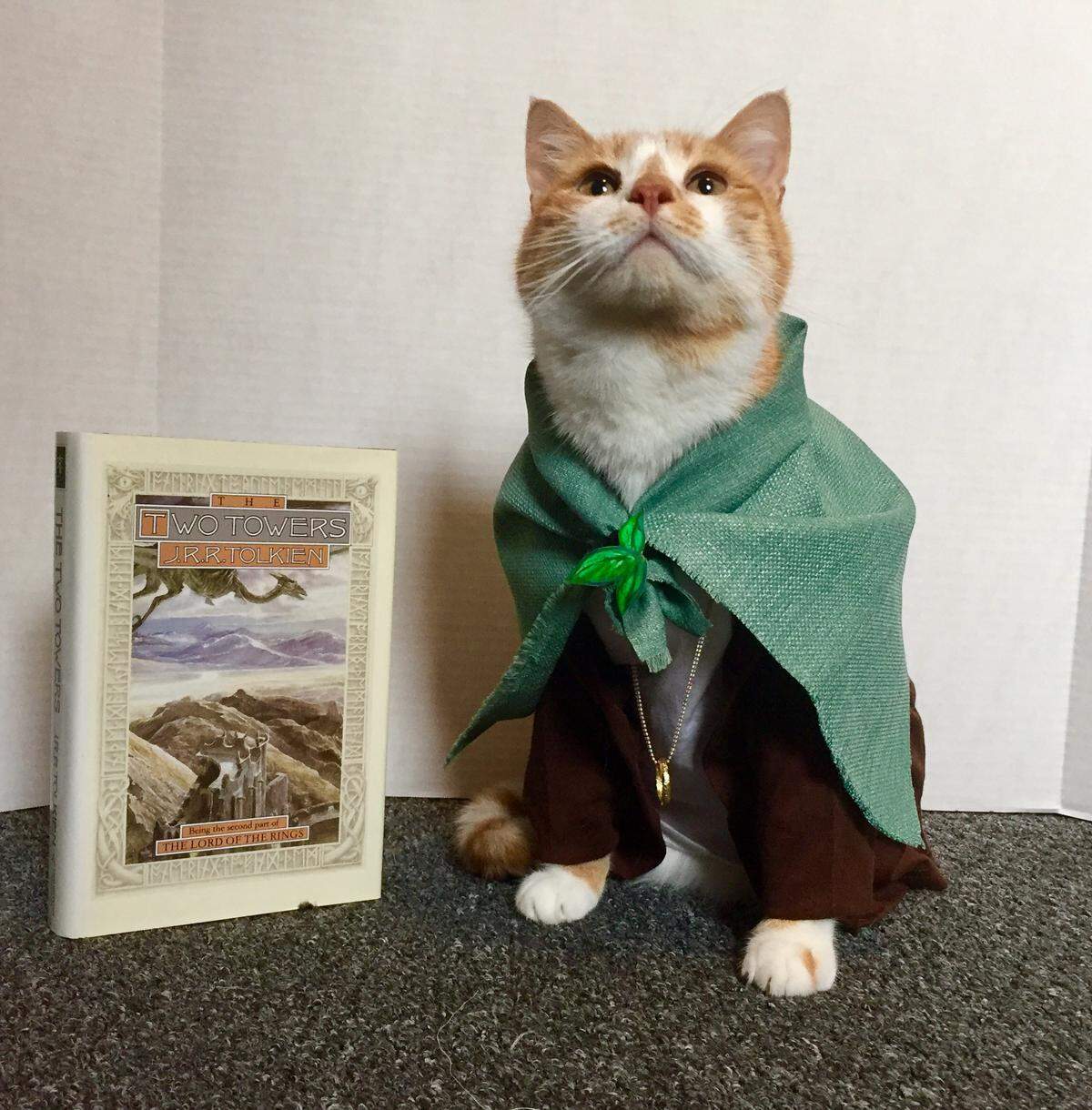 Horatio dresses up as “Furdo” for a “caturday” social media post for the Centre County Library and Historical Museum. A 2019 Caturday Calendar features Horatio’s various costumes.
