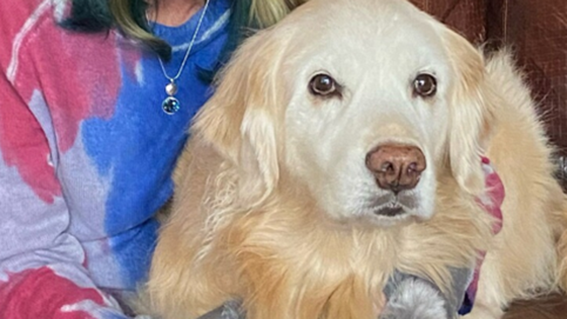 Learning to live: ‘Walking Whiskey Home’ with those touched by dog’s life