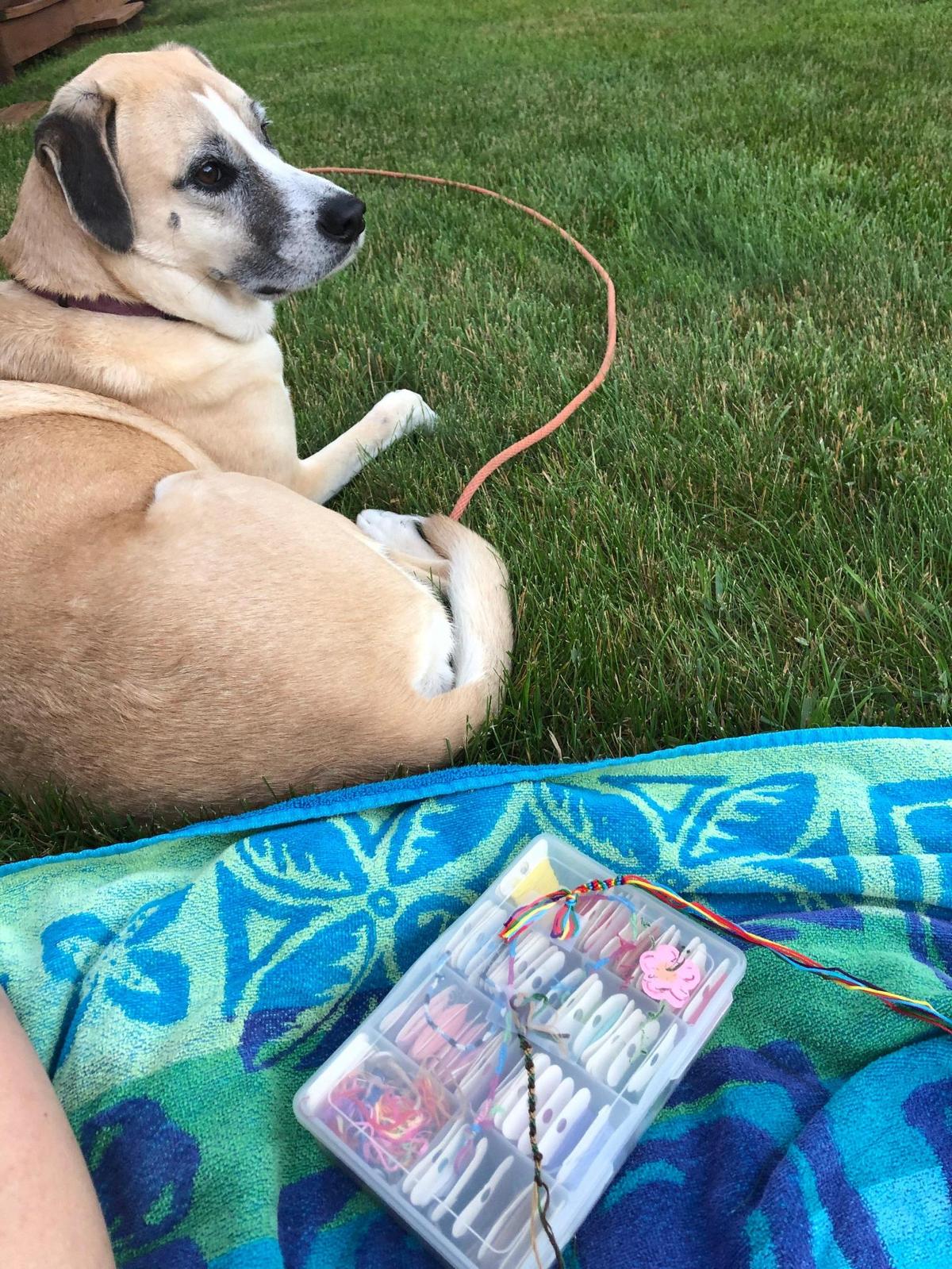 An iPhone photo Abby Drey captured one evening in June while sitting out side with her dog Stella, listening to music and working on friendship bracelets.