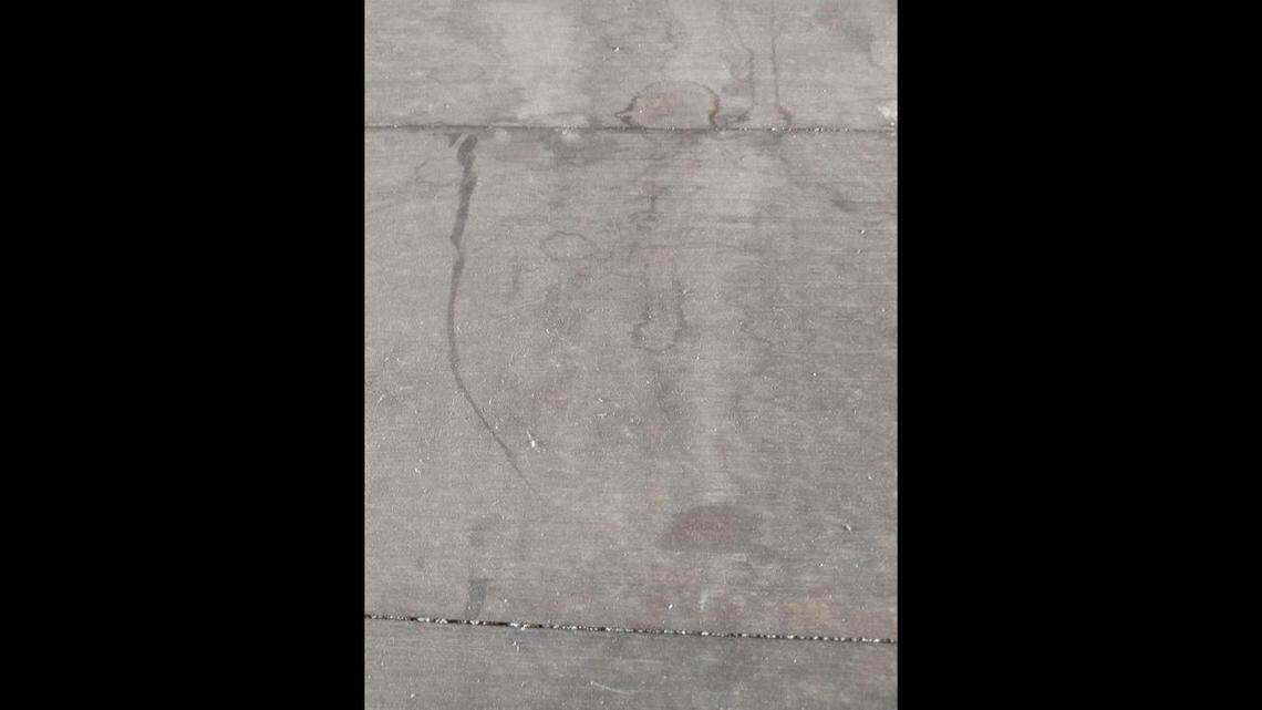 Some people see an image in this stained bit of concrete and they are talking about it on social media. What do you see?