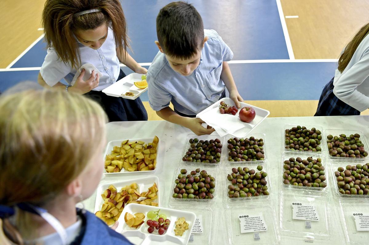 Students at Our Lady of Victory school try an assortment of fruits, including kiwi berries, thanks to the YMCA Traveling Table program on Wednesday, Oct. 30, 2019.
