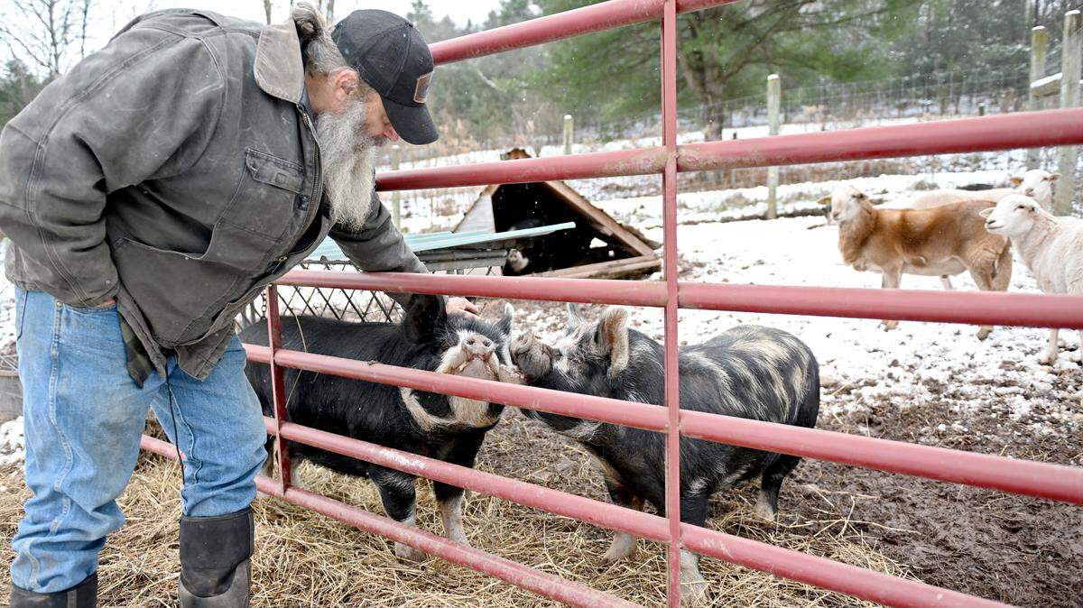 Greg Stuber gives some scratches to one of the Idaho Pasture Pigs at Pole Cat Hollow Farm on Thursday, Dec. 4, 2025.  
