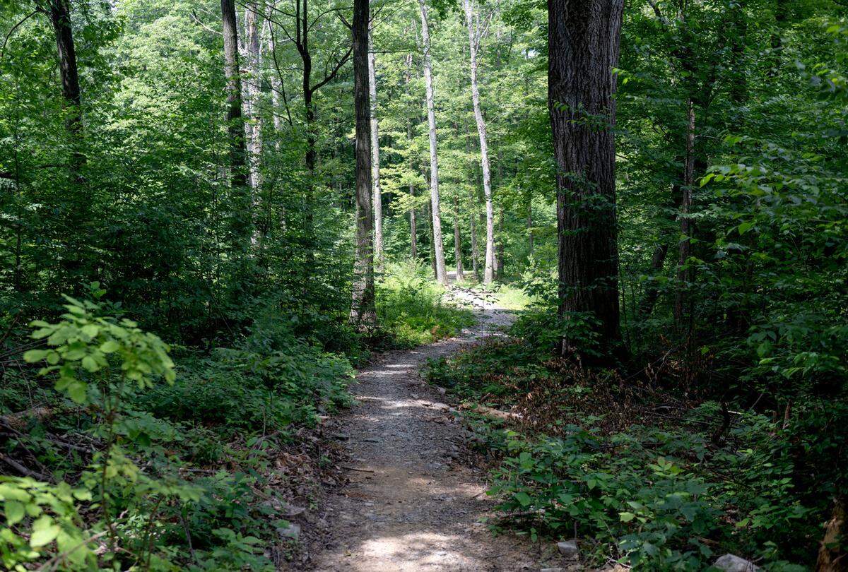 A stretch of the new trail at Musser Gap on Thursday, July 10, 2025.