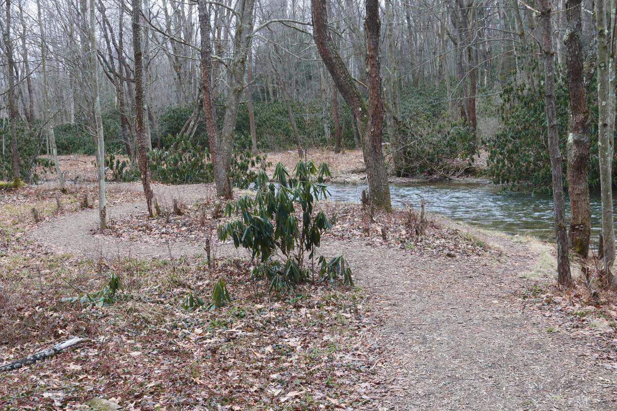 Philipsburg Borough has worked to improve a trail that parallels Cold Stream, which makes it easier for everyone to access the stream. However, a change is stream designation could cause fewer people to fish there.