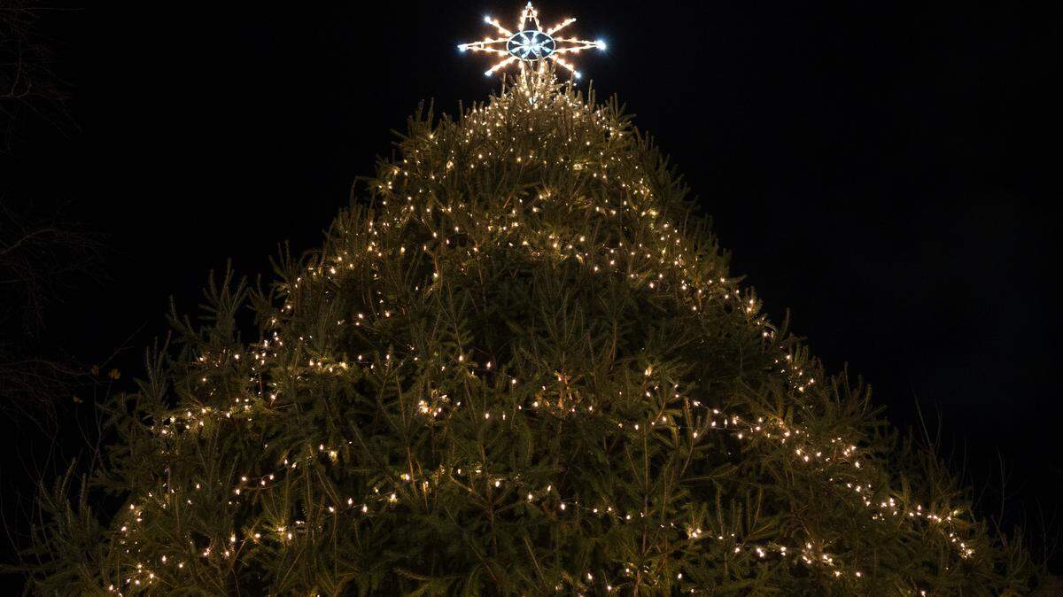 A lit Christmas tree stands on the Allen Street Gates during a downtown Christmas celebration on Thursday, Nov. 21, 2024.