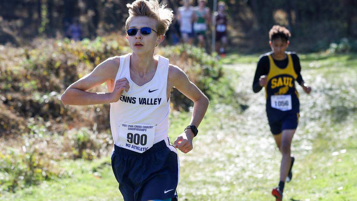 Poll results: Penns Valley cross-country runner selected as CDT Athlete of the Week