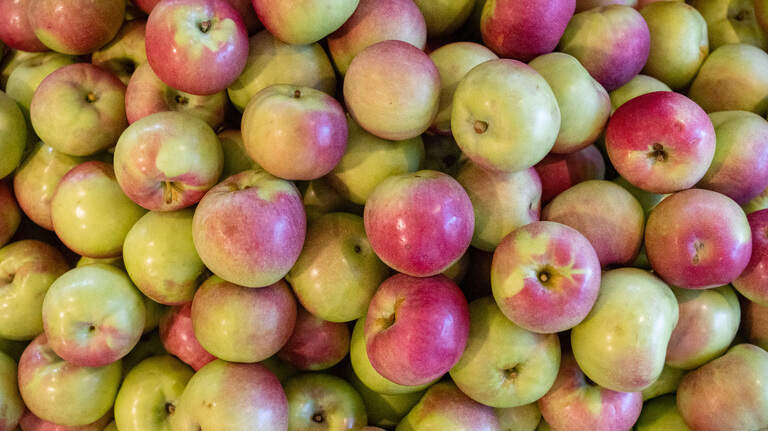 Apple season has arrived in PA. Here are 5 Centre County farms and orchards to check out