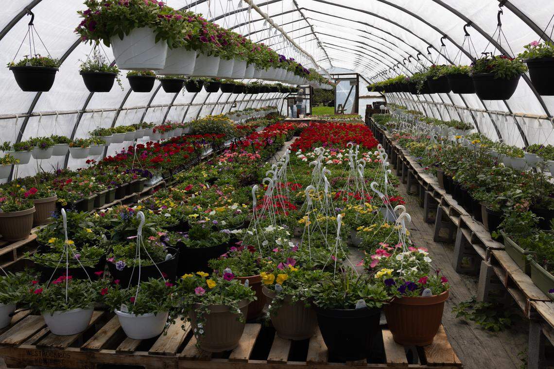 The greenhouse of Harner Farm at 3191 W. College Ave. is pictured on Monday, April 28, 2025.