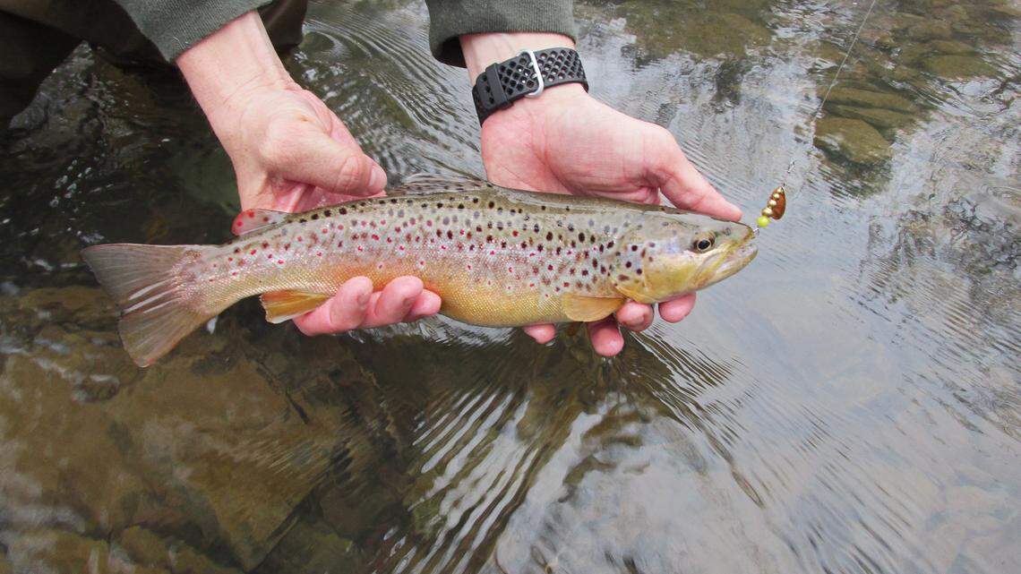 Afield: Early trout fishing opener changes season dynamics, but was right thing to do