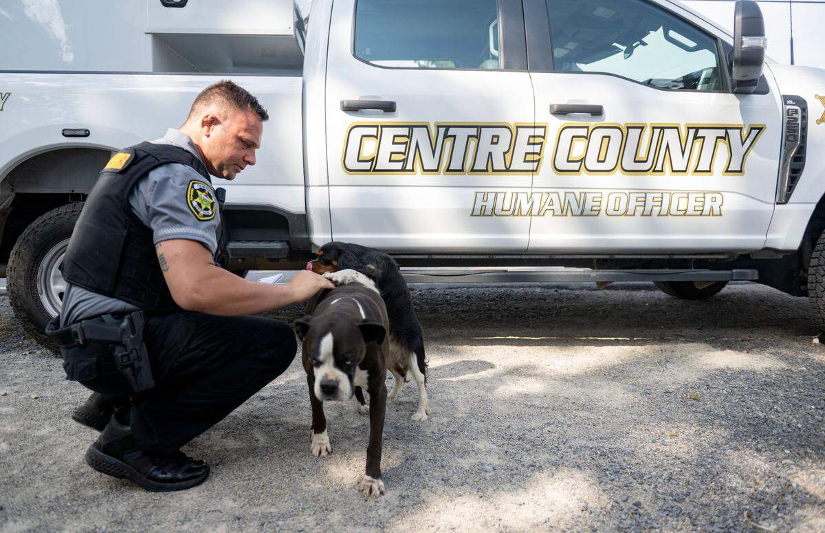 Centre County humane officer Mark Rusnak visits with a dog as he investigates a call on Monday July 7, 2025.