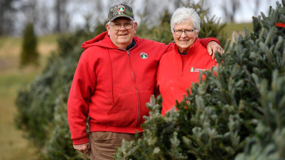 From Tannenbaum Farms to everywhere in-between: Where to buy your Christmas tree in Centre County