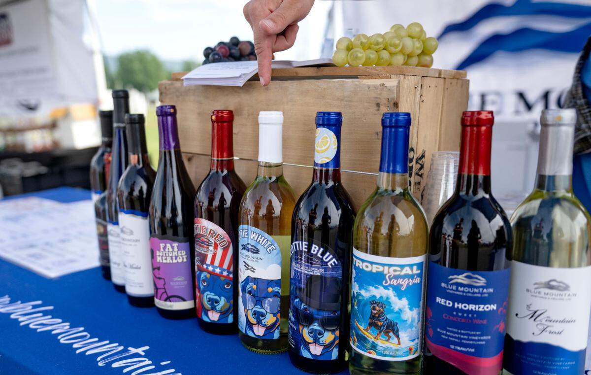 A variety of wines, from dry to sweet, from Blue Mountain Vineyards & Cellars are available to taste and buy at the People’s Choice Festival of Pennsylvania on Thursday, July 10, 2025.