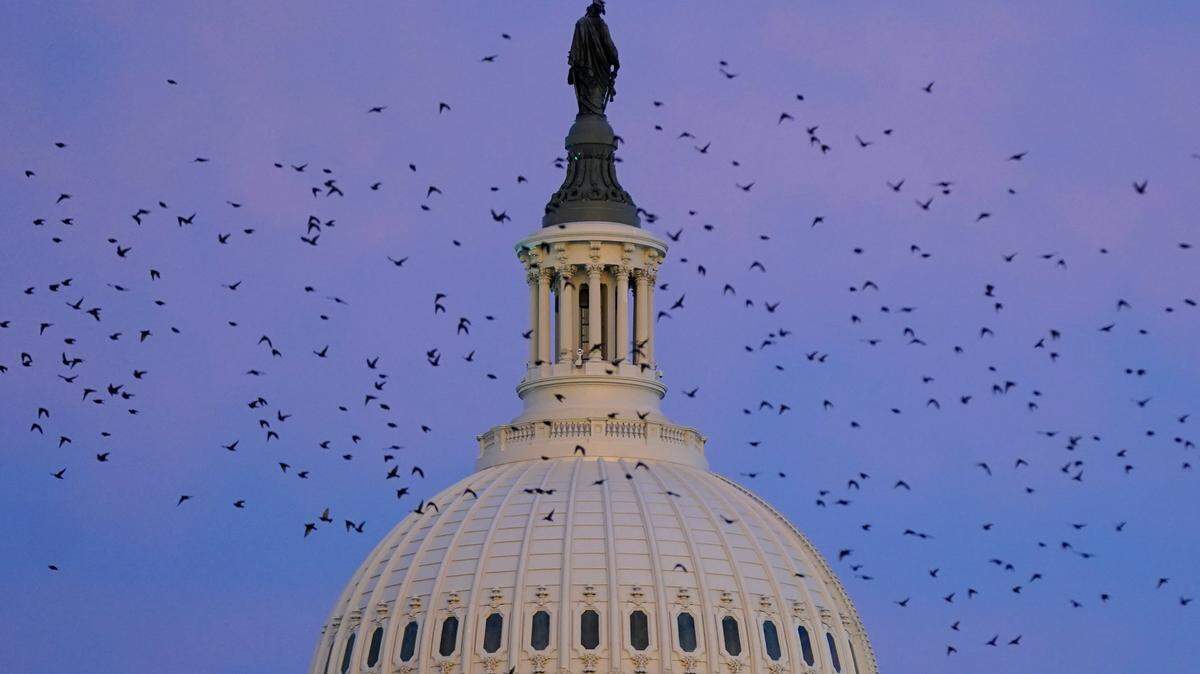 A murmuration of starlings fly past the U.S. Capitol dome as the sun sets on Capitol Hill in Washington, Wednesday, Jan. 4, 2023.