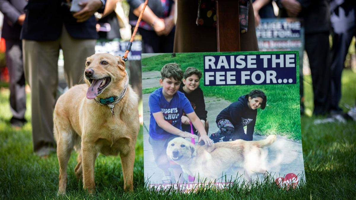 Advocates — including Levi Fetterman, Lt. Gov. John Fetterman’s family dog — have called on the legislature to increase the licensing fee paid by dog owners.
