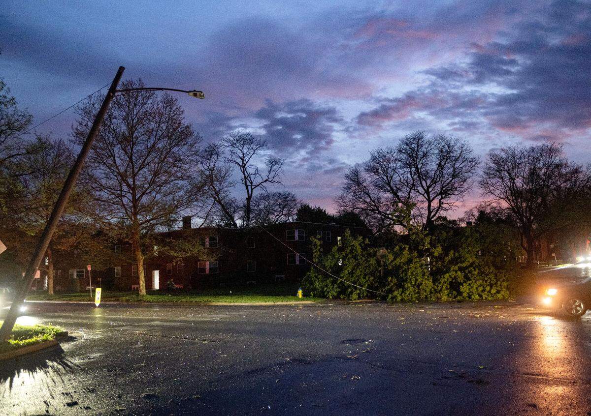 A tree and wires down on South Pugh Street near the intersection of Easterly Parkway after a severe storm passed through the area on Tuesday, April 29, 2025.