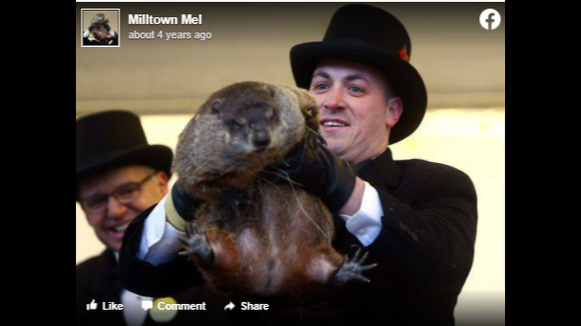 A Feb. 2 Groundhog Day affair has been officially canceled in Milltown, New Jersey, after the star attraction died just two days before his big moment.