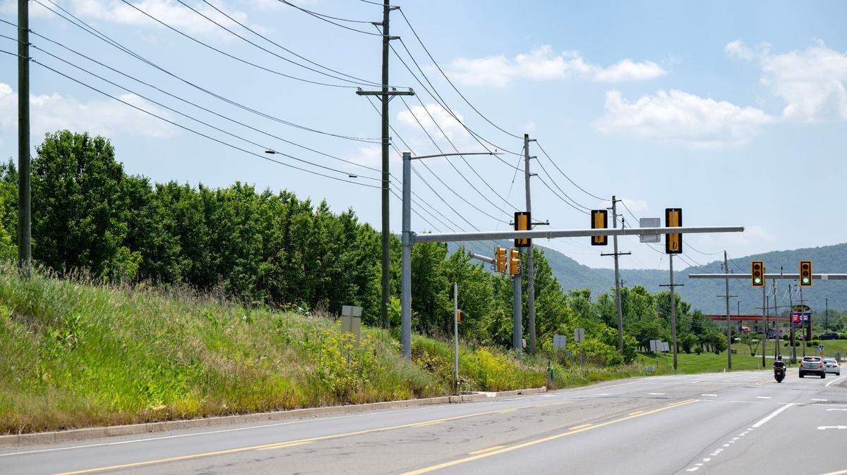 Trees along of portion of Benner Pike in Benner Township by the entrance to the Paradise Shopping complex on Tuesday, June 24, 2025.