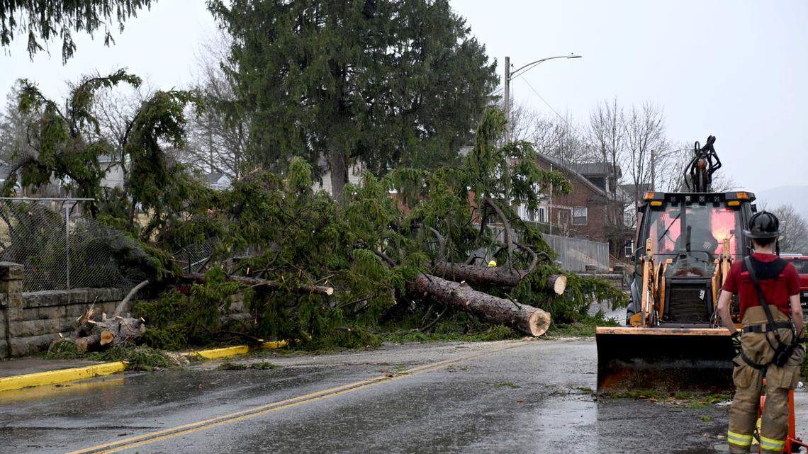 Powerful storm that caused widespread damage in Centre County was downburst, NWS says