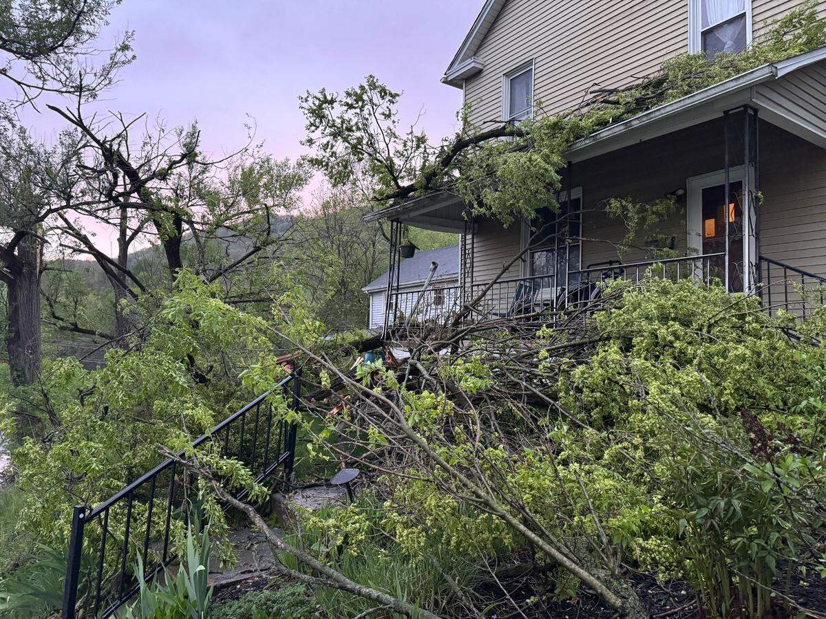 Wind knocked over trees and damaged homes across Centre County on Tuesday night due to a storm that brought wind as high as 80 mph. This Bellefonte home was largely spared, although tree branches damaged a porch and fence.