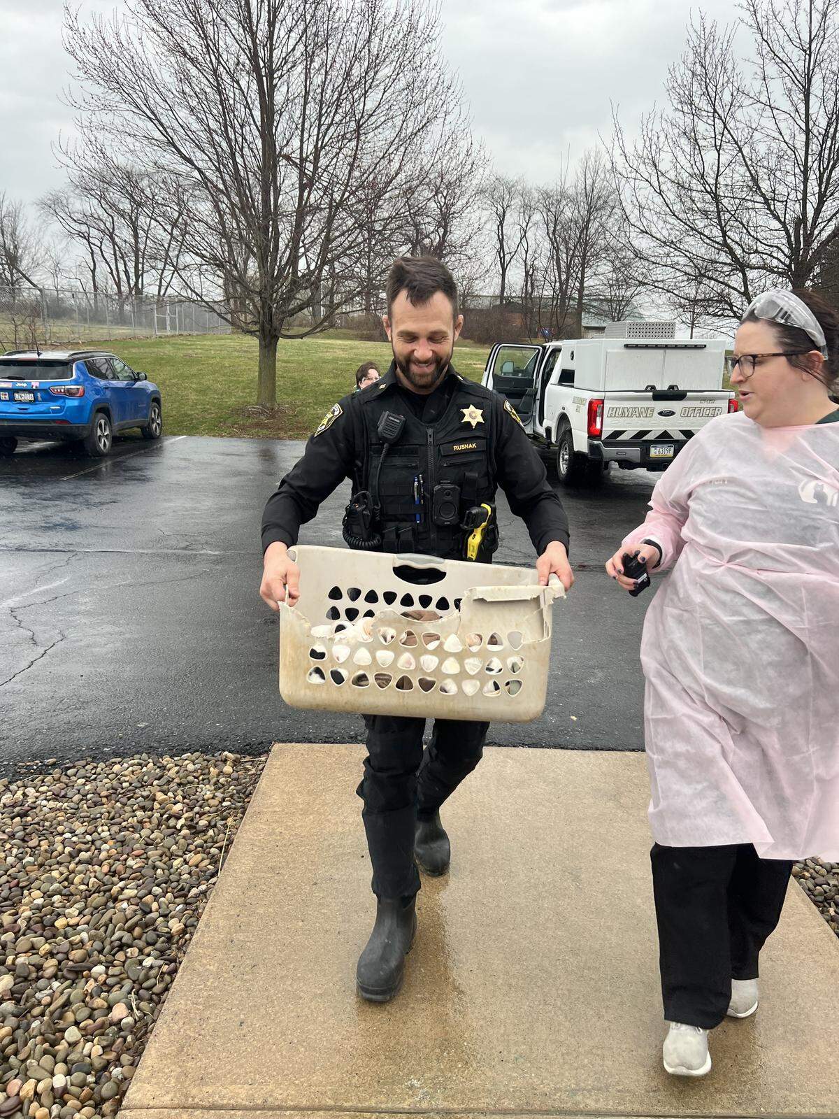 Some 37 dogs were surrendered to Centre County PAWS after they were removed from a single property during a humane investigation. Centre County PAWS is asking for donations, wishlist items and foster homes.