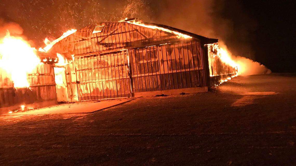 Multiple fire companies responded to a fire at a turkey barn in Miles Township early Wednesday morning. Approximately 5,400 turkeys died in the fire, according to Miles Township fire Chief Eric Miller.